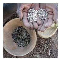 Agriculture