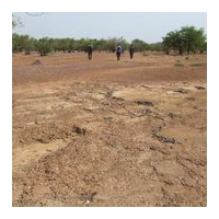 Soil